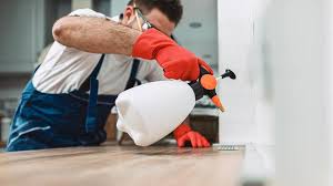 Real Estate Pest Inspections in Twain Harte, CA